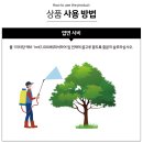 생장플러스