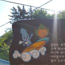 도토리문방구푸른 | 울릉도 2박3일 패키지 여행 _ 2일차 육로관광 A코스, B코스 완전정복 (나리분지,내수전전망대,봉래폭포)