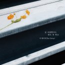 더 데이지 이미지