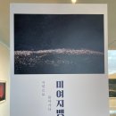 제주 무료전시 미여지벵듸 강정효 초대전 / 사진전 관람 후기