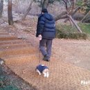 중앙공원(야외음악당) 이미지