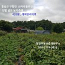 홍성 / 홍성읍10분 , 텃밭넓은 귀농귀촌용 농가주택 432평 1억9천. 이미지