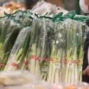 월드할인마트 이미지