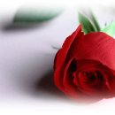 장미당구장 이미지