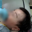 멍이랑옹이랑 | 아기 집 꾸미기 원목가구 추천｜여러 브랜드를 직접 써본 솔직 리뷰!