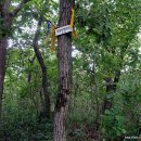 일월여정 이미지