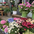 다향화원 이미지