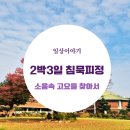 메리워드 | 소음 속 고요를 찾아서: 하느님 안에서 발견한 '존재 자체의 가치'