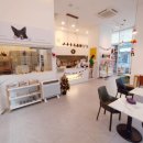 포지티브 보울 이미지