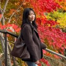 (주)아성다이소분당야탑점 | 가을은 웨이팅의 계절,,? 그리고 화담숲