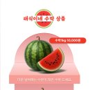 태식이네 이미지