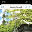 데파토 이미지