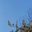 (주)케이팜스 | 고난의 행군, 3월 결산