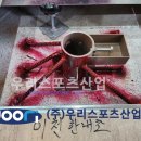 한내초등학교 이미지