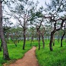 모텔산 네이버블로그