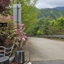 DMZ 평화의 길 23코스 이미지