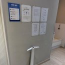 [초급] 생활요가 | 구미동필라테스 전문 <카빈 PT 필라테스 플라잉요가 분당구미점> 1대1 관리 기록 후기