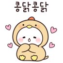 고양이묭실 이미지