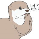 벡스인터코퍼레이션(주)
