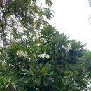 [NhaTrang]베트남 나트랑 여행 1,2일차_퀸 앤 나트랑 호텔/그릭 수블라키/짜오마오/비치스파