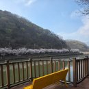 좌광천3(자전거도로) | 기장 벚꽃 명소 병산저수지 주차팁 | 아워숲 브런치카페, 좌광천 산책 코스