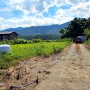 물치천로 이미지