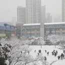 대구하빈초등학교 이미지