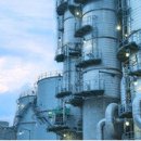 빛이나개 이미지