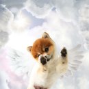 뭉개뭉개 이미지