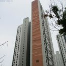 김포금빛초등학교 이미지