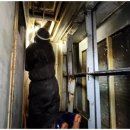 씨엠병원 이미지