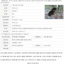 서울동물복지지원센터 동물병원 이미지