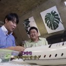 낭만돼지 이미지