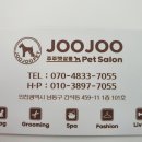 주주펫 살롱 이미지