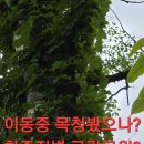 그림의떡 - 세종특별자치시 장기초교길 10 | 그림의떡