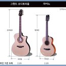 ALK 이미지