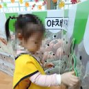 숲속나라어린이집 | 부천어린이집 약대동가정어린이집 숲속나라어린이집, 믿고 맡길 수 있는 공공형 어린이집
