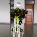 정명고등학교 Daum카페