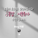 속초수 이미지