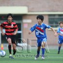 서울서강초등학교 이미지