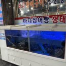 고흥장어마을 네이버블로그