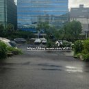 산성대로255번길 | 경기도 실내 놀거리ㅣ애견동반 빈티지옷가게 빈트로