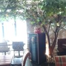 어반트리(Urban Tree)