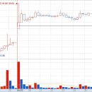 성우케미칼 이미지