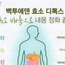 백투에덴힐링센터
