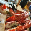 바다활어 이미지