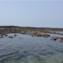 바다속PC 이미지