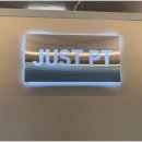 저스트인 피티 이미지
