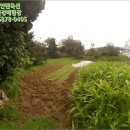 외답주유소 이미지