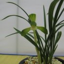 대천체육관 이미지